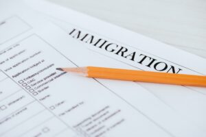 Portuguese Immigration Form