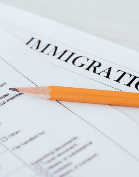 Portuguese Immigration Form